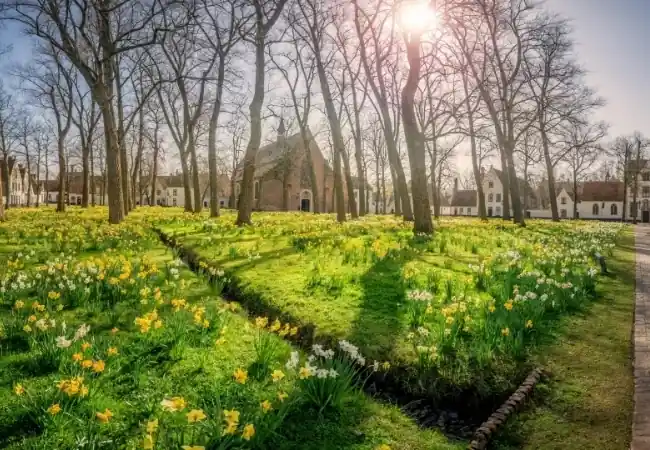 Begijnhof Beguinage Audio Guide Tour