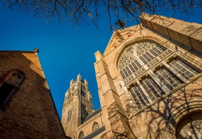 Sint Salvatorskathedraal Audio Guide Tour