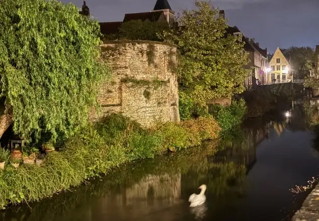 Walking Tour Bruges